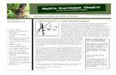 American Bamboo Society | Bamboo is Thriving - Letter from the … · 2012. 2. 13. · Pacific Northwest Chapter of the American Bamboo Society, Winter 2011-2012 Newsletter Page 3