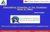 Papermaking Properties of the Eucalyptus · 2012. 11. 7. · •papermaking process design •bottlenecks •broke handling . Eucalyptus Fibers “why do papermakers love them?”