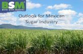 Outlook for Mexican Sugar IndustryBeta San Miguel • Largestsugar producer in Mexico • Established in 1989 • Eleven sugar mills • 1.33mm MT for 22% share • Refined, white,