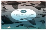 Arctic Goose Joint Venture Strategic Plan, May 2020 ... · [ II ] STRATEGIC PLAN – MAY 2020 Western High Arctic hrota 34 Black Brant Pacific nigricans 35 Cackling Goose Branta hutchinsii