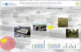 Silica fractionation and reactivity in soils2. Why is this interesting? Different fractions have different reactivity - how fast they can dissolve and hence the facility to be taken