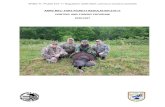 ARNG MTC- FORT PICKETT REGULATION 210-11 HUNTING AND ... · What’s New of 2020-2021 • Checkin times for all hunting related activities have been made consistent to start at 4:00