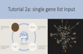 Tutorial 2a: single gene list input - NetworkAnalyst · 2020. 12. 29. · Tutorial 2a: single gene list input. Intro to NetworkAnalyst •Web application that enables complex meta-analysis