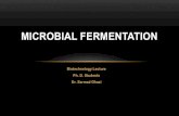 Biotechnology Lecture Ph. D. Students Dr. Sarmad Ghaziun.uobasrah.edu.iq/lectures/10838.pdfDr. Sarmad Ghazi MICROBIAL FERMENTATION AGENDA 2 Introduction. Fermentation media. Industrial