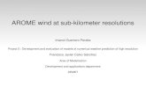 AROME wind at sub-kilometer resolutionsAROME wind at sub-kilometer resolutions Imanol Guerrero Peralta Project 5 : Development and evaluation of models of numerical weather prediction