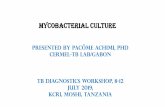 Presented by Pacôme Achimi, PhD Cermel-TB Lab/Gabon...Presented by Pacôme Achimi, PhD Cermel-TB Lab/Gabon TB Diagnostics Workshop, 8-12 July 2019, KCRI, Moshi, Tanzania . OVERVIEW