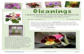 Gleanings - The Gesneriad Society, Inc.€¦ · don’t worry. You are not killing your plant. The home territory of these species has a winter dry season. The plants need to reduce