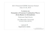 2015 Princeton-CEFRC Summer School June 22-26, 2015...Rankine-Hugoniot conditions for shock waves Mikhelson (Chapman-Jouguet) conditions for detonations 10-2. Inner structure of a