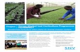 Project Kenya Market-Led Horticulture Programme HortIMPACT · 2016. 1. 18. · horticulture markets in Kenya. Our focus Poor food safety, high food losses and the exclusion of small