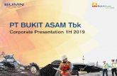 PT BUKIT ASAM Tbk · 2019. 9. 15. · (% change) Sales volume (Mt) 28.4 13.4 12.2 9.7% Production (Mt) 27.3 12.8 11.2 14.1% ... New Barging Port Project ... Management expects the