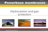 Hydrocarbon and gas protection - WordPress.comHydrocarbon and gas protection ... • HDPE high density polyethylene [ Visqueen GX ... • Puraflex Barrier • Puraflex Tank • Puraflex