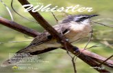 Whistler The...wild Laughing Kookaburras. A short paper provides insights into observations 20 years earlier of a most unusual near-coastal breeding of the Black-eared Cuckoo …