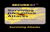 Surving DNS DDos Attacks 2017 v1 - Secure64 · server - that incorporates DDoS countermeasures directly into the operating system, allowing it to remain responsive to legitimate DNS