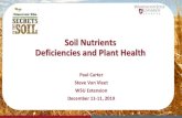 Soil Nutrients Deficiencies and Plant Healthsmallgrains.wsu.edu/wp-content/uploads/2020/01/Carter... · 2020. 1. 23. · Soil dispersion hardens the soil and blocks water infiltration.
