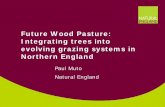 Future Wood Pasture: Integrating trees into evolving grazing …euraf.isa.utl.pt/sites/default/files/pub/docs/16_15_muto.pdf · 2012. 10. 17. · Integrating trees into evolving grazing