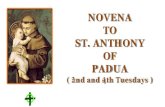 NOVENA TO ST. ANTHONY OF PADUA...St. Anthony of Padua the Lily of chastity even at a tender age. ALL: In every home, may there be chastity, victory over sin, humility, thoughtfulness,