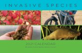 2021 MISAC Invasive Species Calendar · 2020. 11. 16. · Photos — Above left: Gina Quiram. Above right and Main: Minnesota Department of Agriculture An adult leaf-eating beetle