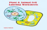 PLANT & ANIMAL CELL LABELING WORKSHEETSjoyfulandsuccessfulhomeschooling.com/.../10/celllabeling.pdf · 2018. 10. 2. · PLANT & ANIMAL CELL LABELING WORKSHEETS 11 Powerline Productions
