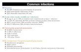 BetaLactams1 PenicillinsA 2013courses.washington.edu/medch561/pdf_text/561p2013_kl... · 2013. 4. 19. · action of selective inhibition by antibiotics. In P. aeruginosa it is most