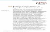 Rarity of monodominance in hyperdiverse Amazonian forests · 2019. 10. 1. · Juan Fernando phillips ~, Gonzalo Rivas-torres,, Tinde R. van Andel w, patricio von ... Amsterdam, ,