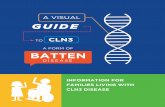 Amicus Therapeutics - Visual Guide to Batten Disease · 2020. 11. 16. · BATTEN A VISUAL TO CLN3 DISEASE GUIDE INFORMATION FOR FAMILIES LIVING WITH CLN3 DISEASE References 1. Adams