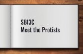 Meet the Protists SBI3C · 2019. 3. 22. · Meet the Protists. Hello! I am a protist. We’re tiny, numerous, ancient, and weird. Kingdom Protista Proto means First First eukaryotes
