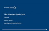 The Thorium Fuel Cycle - Indico...Thorium fuel cycles Options for a thermal reactor are: •Once-through fuel cycle with Th-232 as alternative fertile material to U-238 with U-235