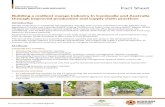DEPARTMENT OF Fact Sheet · Fact Sheet For more information visit DEPARTMENT OF PRIMARY INDUSTRY AND RESOURCES Building a resilient mango industry in Cambodia and Australia through