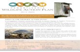 2015-2025...2015-2025 WHAT IS THE WILDLIFE ACTION PLAN? A non-regulatory, proactive conservation blueprint to prevent Species of Greatest Conservation Need (SGCN) from requiring federal