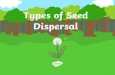 Types of Seed Dispersal - Milton Mount Primary School › wp-content › uploads › 2020 › 04 › T2-… · Types of Seed Dispersal. Wind Sycamore ‘helicopters’ and dandelion