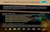Gigamon Premium TrainingGigamon class priced at $1995 USD, 20 GTVs will be required. If you do not have enough GTVs to cover the If you do not have enough GTVs to cover the purchase,