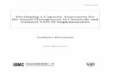 SAICM Capacity Assessment APR2007edition IOMC · 2007. 8. 20. · Preparing a national capacity assessment for sound chemicals management and SAICM implementation can provide a valuable