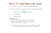 How 2nd half labs will work - University of Washingtoncourses.washington.edu/ess212/Lab_files/2010...1.You get a lab handout with each set of rocks Spend 2 lab periods working on the