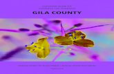 Consumer Guide for Substance Use Treatment GILA COUNTY · 2018. 9. 5. · Gila County Consumer Guide for Substance Use Treatment | 1 CRISIS SERVICES There are times when a person