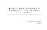 Canada-Newfoundland and Labrador (C-NL) Job Grant · Government of Newfoundland and Labrador Program Guidelines Advanced Education and Skills Version  Page: 6 Submit applications