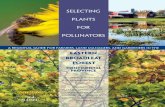 Selecting Plants for Pollinators - Oldham County...2 Selecting Plants for Pollinators This is one of several guides for different regions in the United States. We welcome your feedback