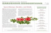 Berkeley Horticultural Nursery GARDENING SUGGESTIONS Nov ...€¦ · enough water for roses (the deer would eat them anyway), enough heat for mel-ons, or enough shade for rhododendrons.