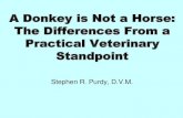 A Donkey is Not a Horse: The Differences From a Practical … · 2012. 6. 20. · Terminology associated with donkeys and mules: •Donkey- worldwide common name for the ass family