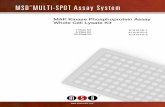 MSD MULTI -SPOT Assay System - Meso Scale › ~ › media › files › product...17222-v10-2013Apr | 1 . MAP Kinase Phosphoprotein Assay . Whole Cell Lysate Kit. 1-Plate Kit K15101D