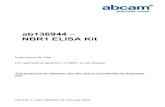 ab136944 – NBR1 ELISA Kit - Abcam · Discover more at 2 INTRODUCTION 1. BACKGROUND Abcam’s NBR1 ELISA (Enzyme-Linked Immunosorbent Assay) kit is an in vitro enzyme-linked immunosorbent