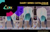 DAIRY SIRES CATALOGUE - CRV Ambreed...Adaptability Milking 0.09 0.05 Shed Temperament 0.07 0.05 Milking Speed 0.12 0.00 Overall Opinion 0.29 0.16 Conformation Udder Overall 0.55 0.42