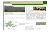 Guinea Massif du Ziama - eng - UNESCO · Massif du Ziama Declaration date : 1980 Surface area : 119.019 ha Administrative division: Guinée Forestière in the South-east of the country,