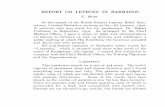 REPORT ON LEPROSY IN BARBADOS - ILSLleprev.ilsl.br/pdfs/1943/v14n1/pdf/v14n1a03.pdfRoad, 9 each from Carrington's Village and Chapman's Lane. it is found, m reover, that 378 of the