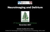 Neuroimaging and Delirium · 2017. 11. 21. · Neuroimaging and Delirium 5 th Annual Delirium Boot Camp November 2017 Michele Cavallari, M.D., Ph.D. Center for Neurological Imaging,