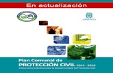 PLAN COMUNAL DE PROTECCION CIVIL · 2013. 5. 20. · PLAN COMUNAL DE PROTECCION CIVIL 4 1.1.- INTRODUCCION La Protección Civil es entendida como la Protección a las personas, a