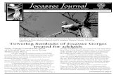 Jocassee Journal · 2008. 12. 3. · Fall/Winter 2008 Volume 9, Number 2 Jocassee Journal Towering hemlocks of Jocassee Gorges treated for adelgids Duke Energy Foundation grant of