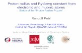 Proton radius and Rydberg constant from electronic and ... › ... › 2674395 › Pohl_SSP18.pdfRandolf Pohl Johannes Gutenberg-Universität Mainz Institut für Physik, QUANTUM und