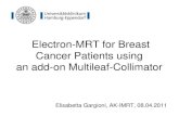 Electron-MRT for Breast Cancer Patients using an add-on Multileaf-Collimator - UKE · 2016. 6. 9. · Electron-MRT for Breast Cancer Patients using an add-on Multileaf-Collimator