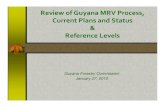 Review of Guyana MRV Process, Current Plans and Status ... · Roadmap Approach The outcomes of the initiative, as outlined in the MRV capacity development roadmap, are as follows: