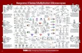 Bergamo II Series Multiphoton Microscopes - Thorlabs · 2016. 12. 1. · PMP1000(/M) Manual 2" Translating XY Platform PMP-2XY(/M) Motorized 2" Translating XY Platform PLS-XY 2D 1"